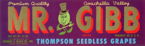Mr. Gibb